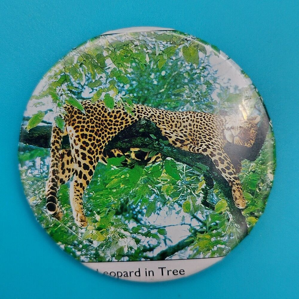 Leopard In Tree Vintage Pinback Button Pin - Picture 2 of 4